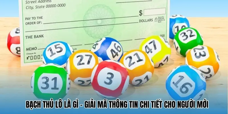Bạch Thủ Lô Là Gì - Giải Mã Thông Tin Chi Tiết Cho Người Mới