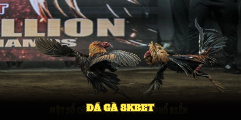 Đá Gà 8KBET Và Hình Thức Cược Thú Vị Bạn Nên Chơi