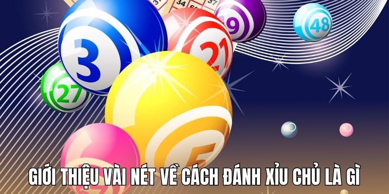 Giới thiệu vài nét về cách đánh xỉu chủ là gì
