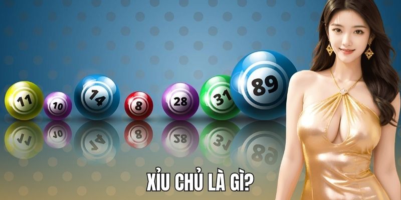 Xỉu Chủ Là Gì? Bí Quyết Soi Cầu Chuẩn Nhất Tại 8KBET